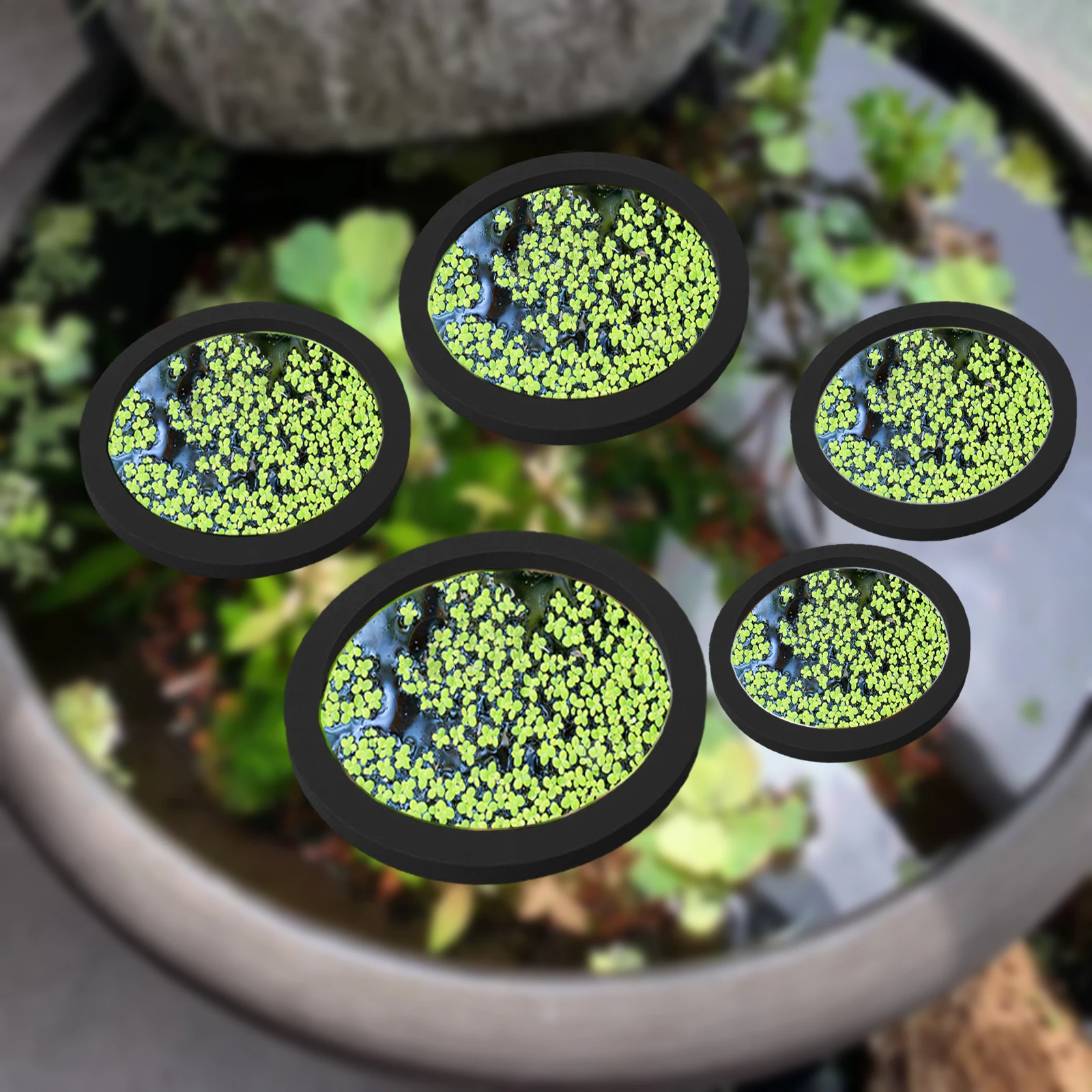 Aquarium Fish House - 5 stks EVA Vis Voeden Ring