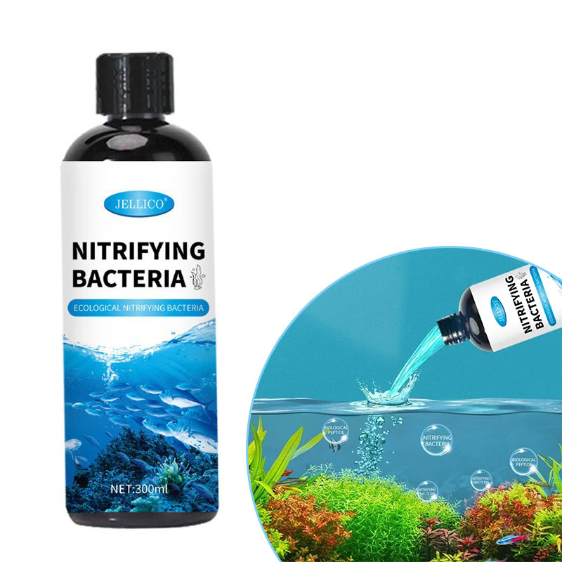 Aquarium Fish Medicine - Nitrificerende bacteriën Vloeibaar aquarium Waterzuiveraar Aquariumvissen