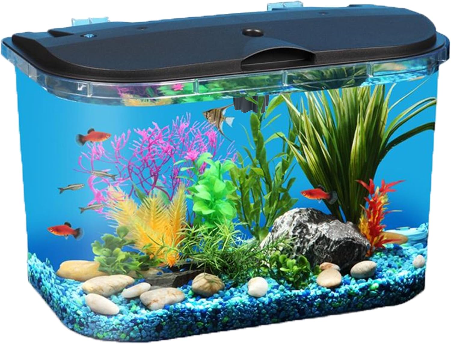 Aquarium Fish Variety - 5-gallon aquariumset met LED-verlichting en stroomfilter,