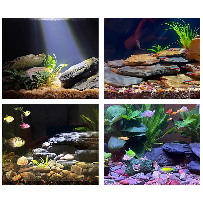 500/1000g Aquarium Landschap S - Aquarium Fish House recensie en prijs
