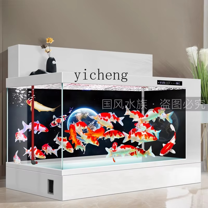 JX-27 viskom aquarium dubbel f - Aquarium Fish Koi recensie en prijs