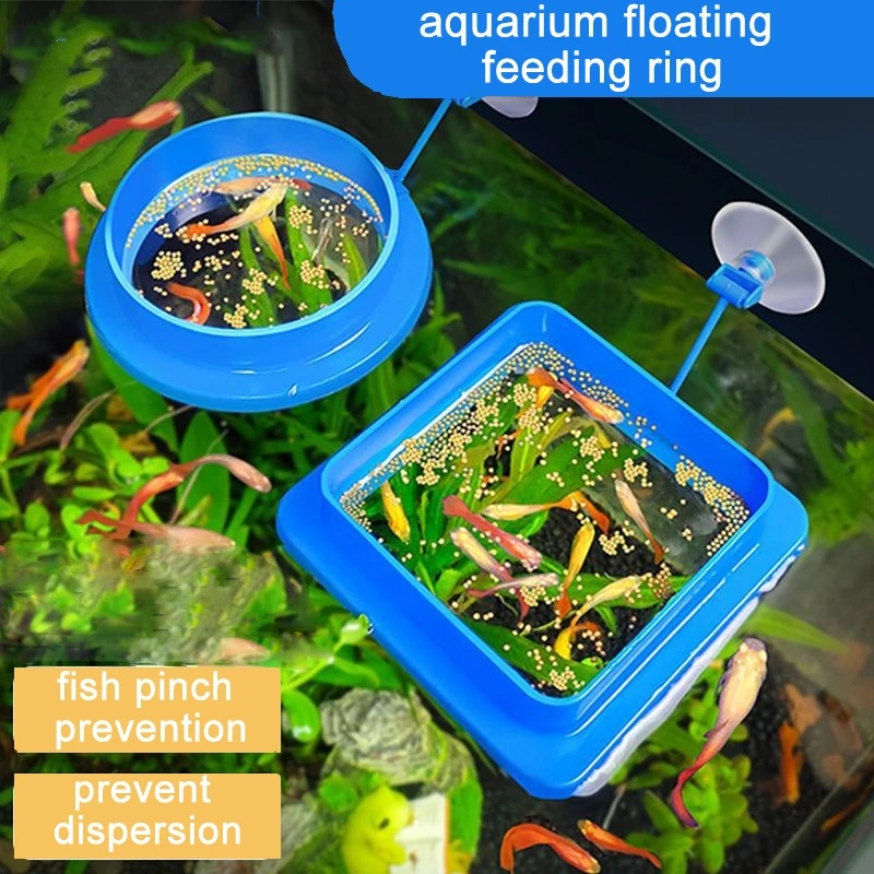 Drijvende aquariumvisvoederrin - Aquarium Fish Medicine recensie en prijs
