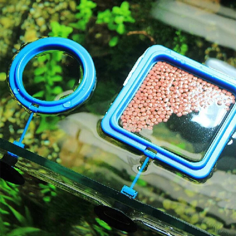 Drijvende aquariumvisvoederrin - Aquarium Fish Medicine recensie en prijs