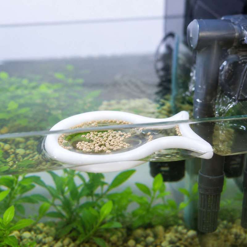 Visvormige drijvende voederrin - Aquarium Fish Medicine recensie en prijs