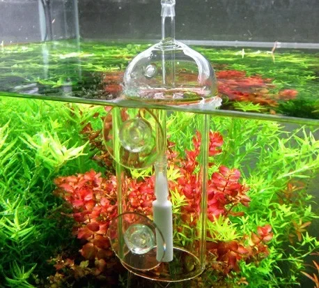 VIV Do Apparaat Aquarium Cilin - Aquarium Fish Store recensie en prijs