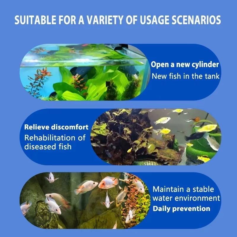 SIKEZHAN Behandeling van viszi - Aquarium Fish Medicine recensie en prijs