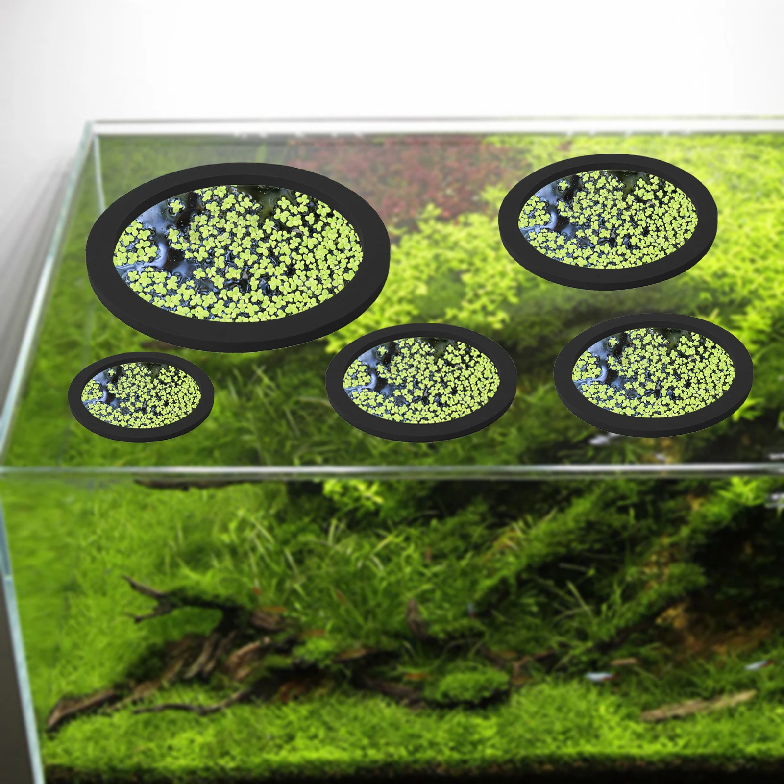 5 stks EVA Vis Voeden Ring Aqu - Aquarium Fish House recensie en prijs