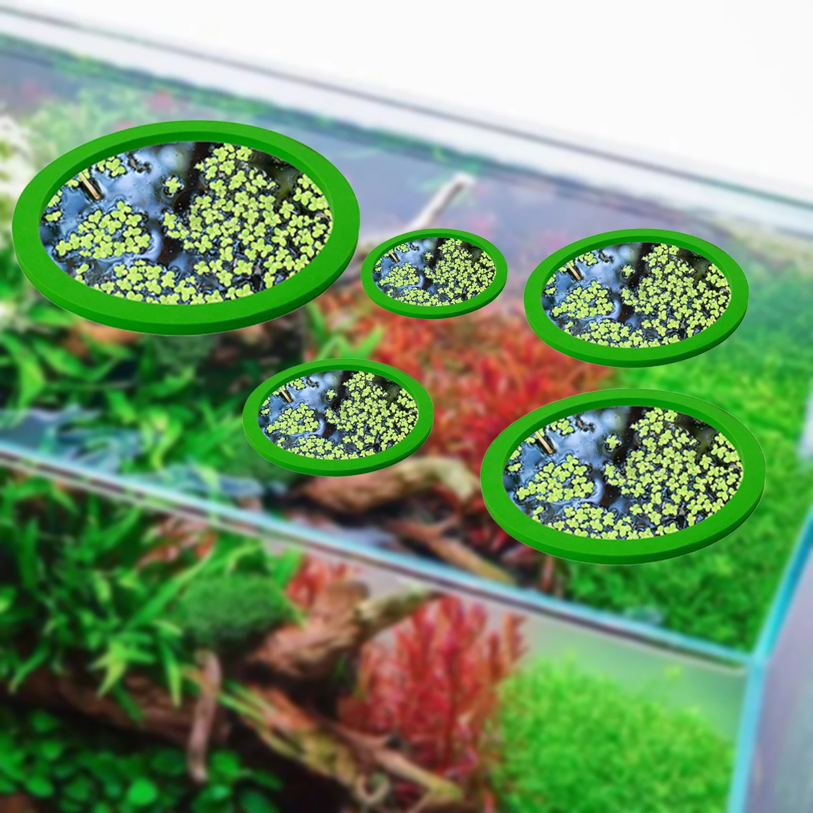 5 stks EVA Vis Voeden Ring Aqu - Aquarium Fish House recensie en prijs