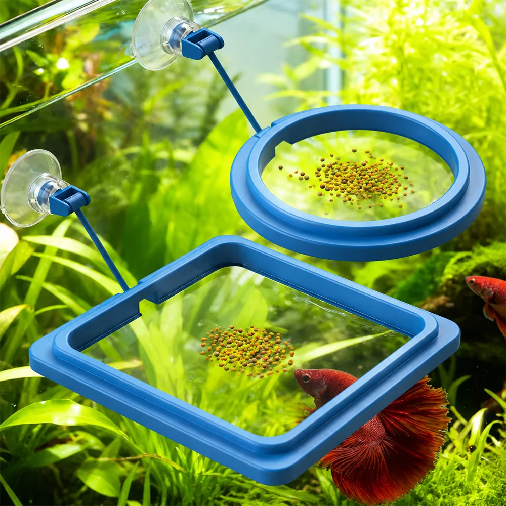 Betta Visvoer Drijvende Mini P - Aquarium Fish Medicine recensie en prijs
