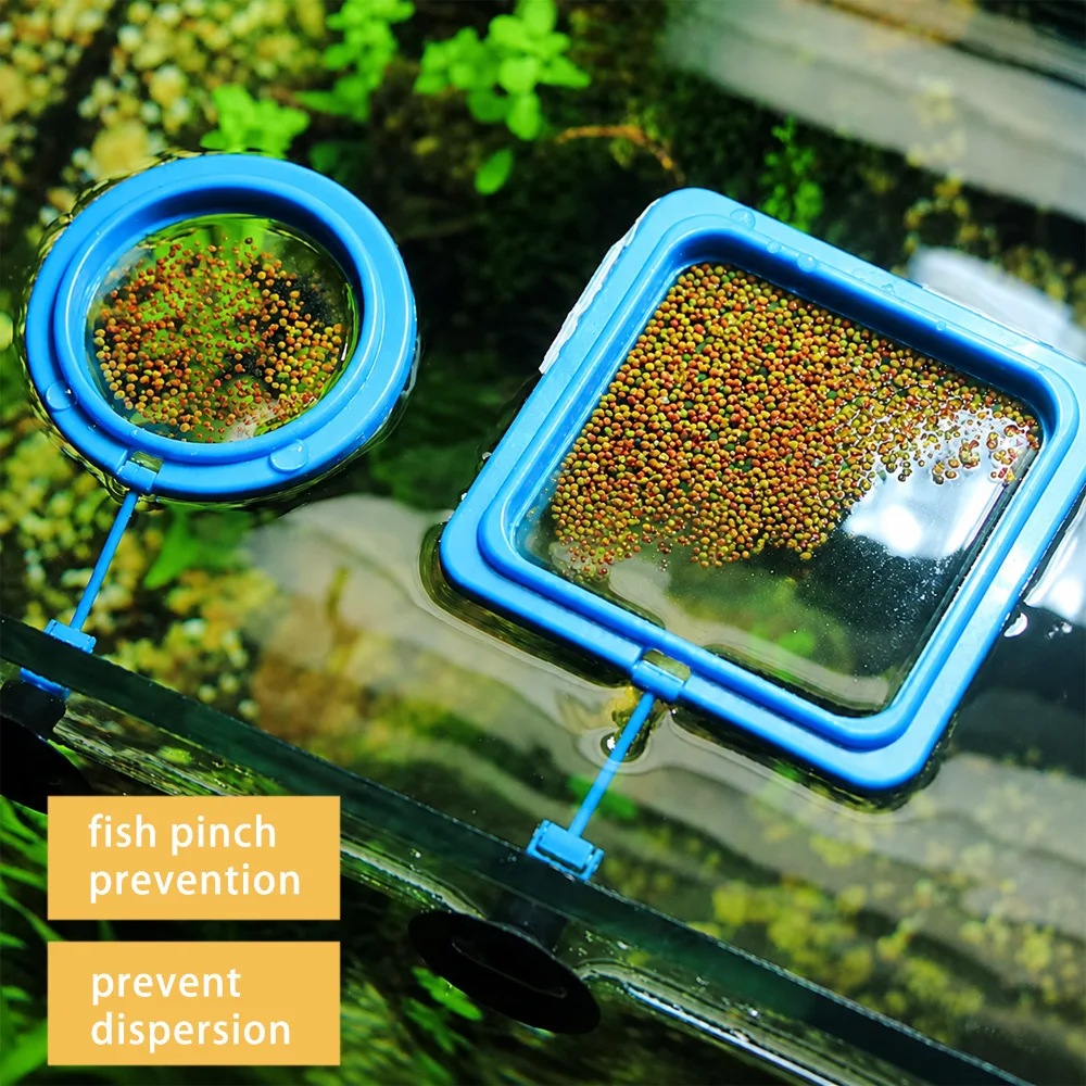 Betta Visvoer Drijvende Mini P - Aquarium Fish Medicine recensie en prijs