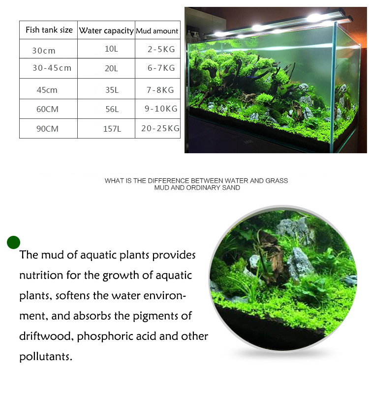 Aquarium Plant Zaden Bodem Fis - Aquarium Fish Store recensie en prijs