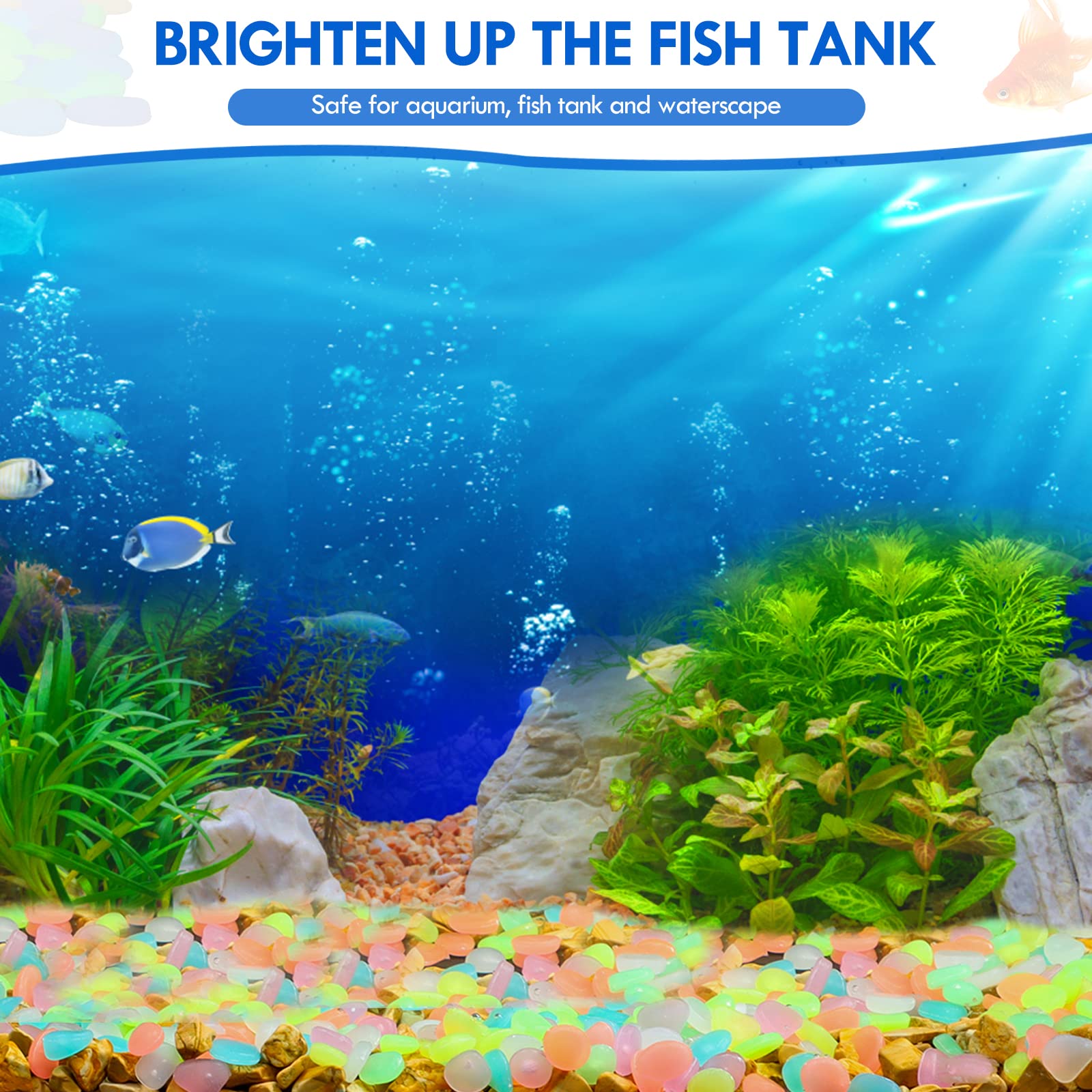 100 Stuks Glow in The Dark Tui - Aquarium Fish House recensie en prijs